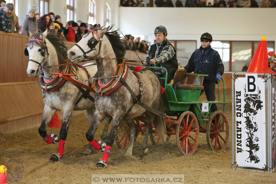 25.2.2017 - spřežení Brno