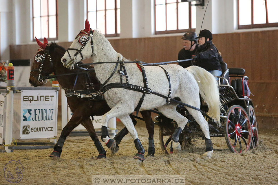 25.2.2017 - spřežení Brno