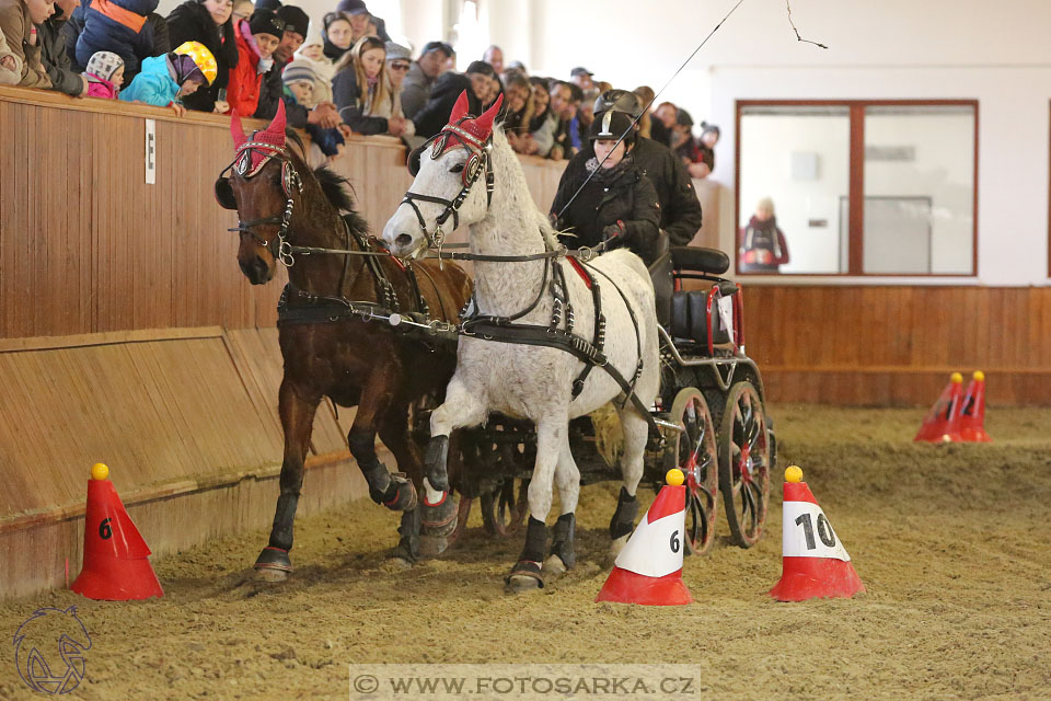 25.2.2017 - spřežení Brno