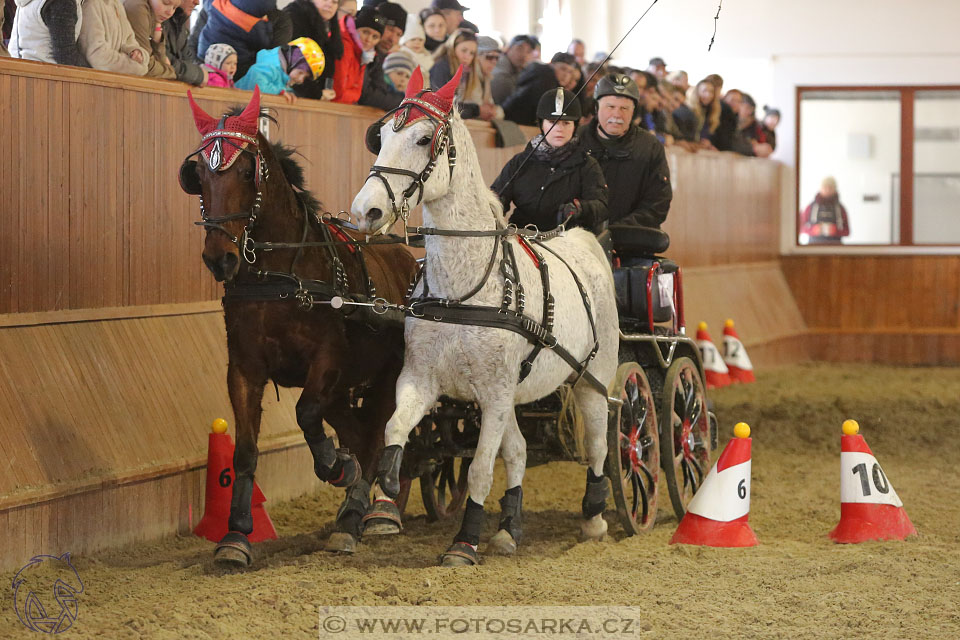 25.2.2017 - spřežení Brno