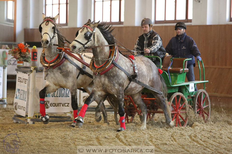 25.2.2017 - spřežení Brno