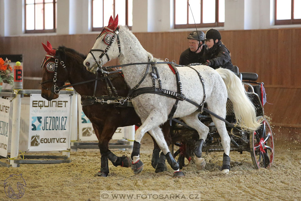 25.2.2017 - spřežení Brno