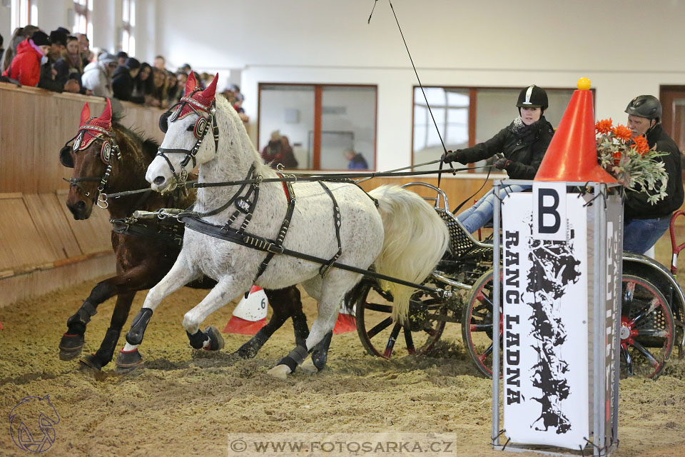 25.2.2017 - spřežení Brno