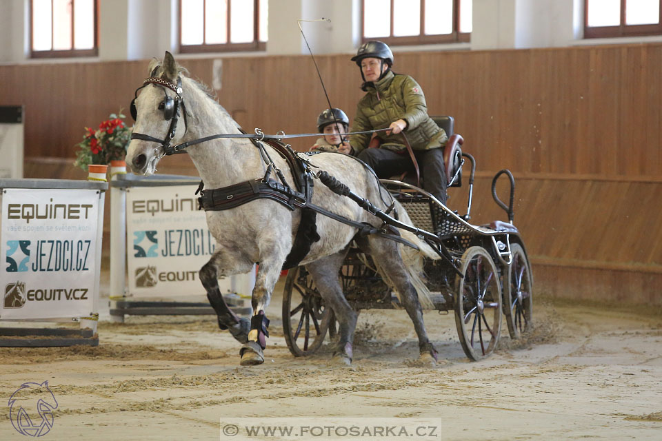 25.2.2017 - spřežení Brno