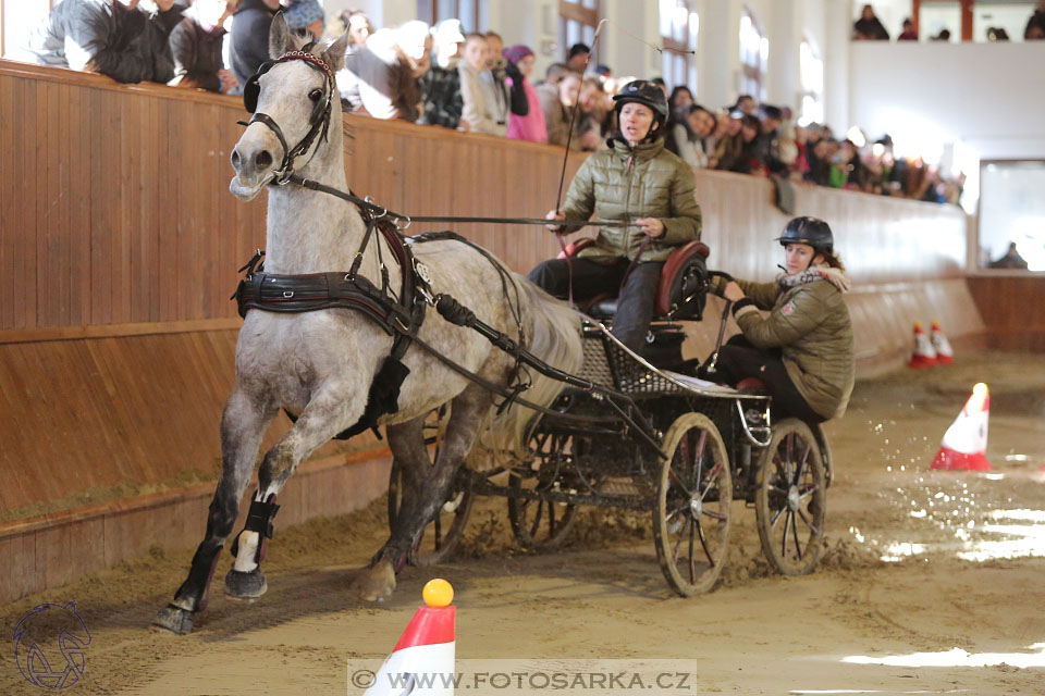 25.2.2017 - spřežení Brno