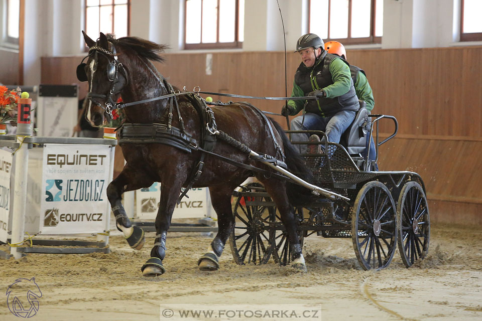 25.2.2017 - spřežení Brno