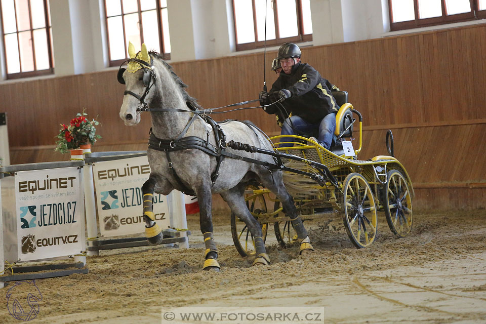 25.2.2017 - spřežení Brno