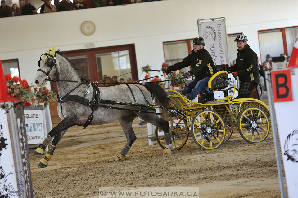 25.2.2017 - spřežení Brno