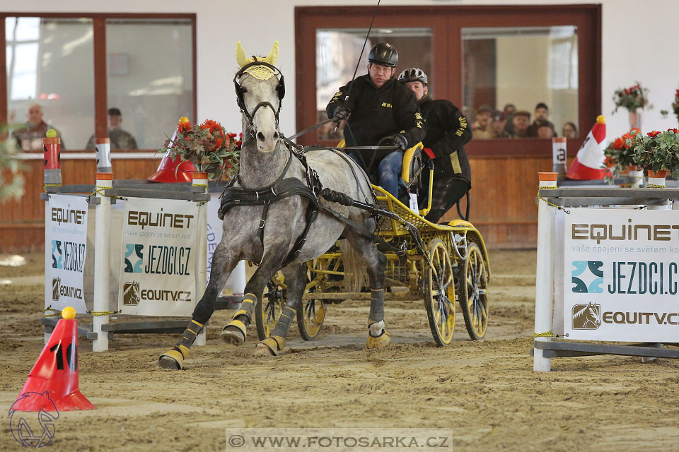 25.2.2017 - spřežení Brno