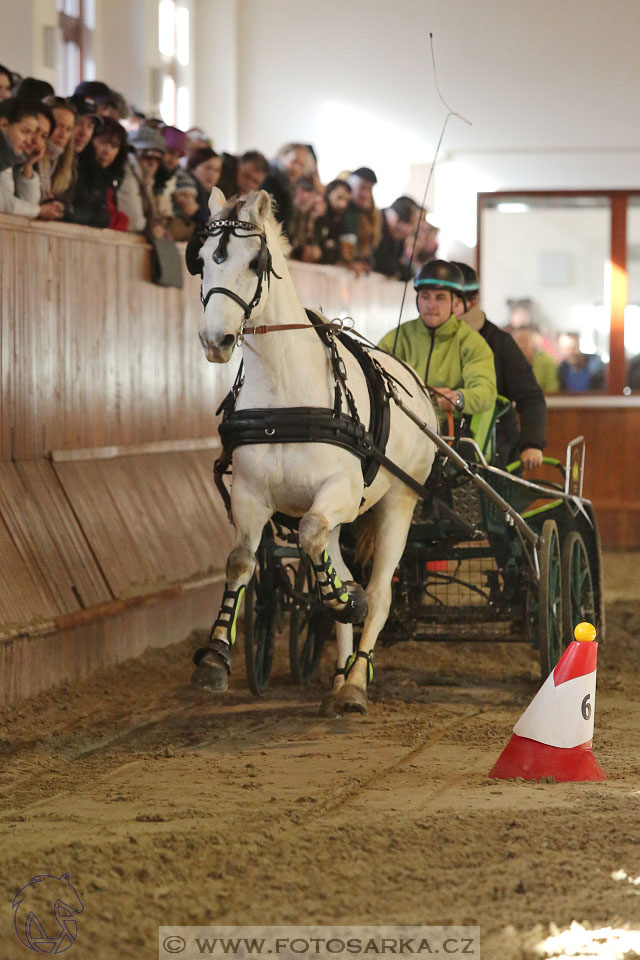 25.2.2017 - spřežení Brno