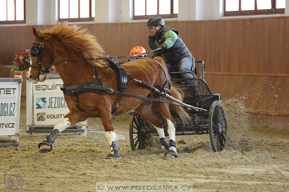 25.2.2017 - spřežení Brno