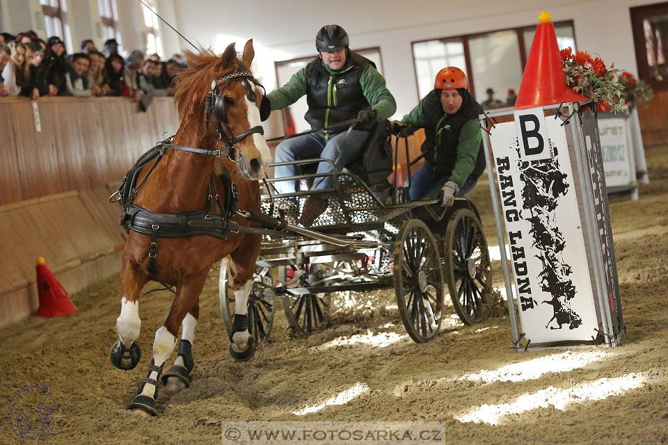 25.2.2017 - spřežení Brno