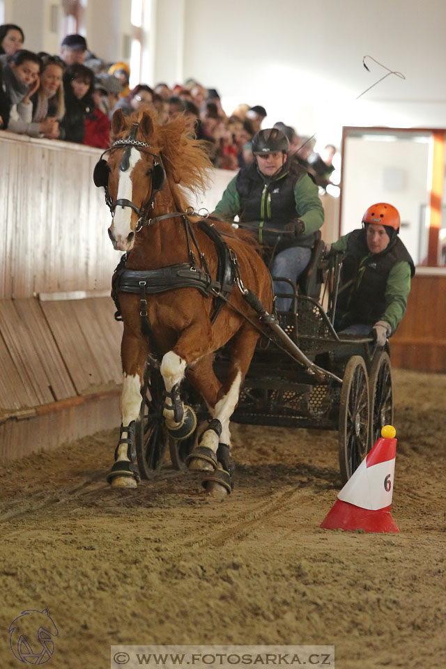 25.2.2017 - spřežení Brno