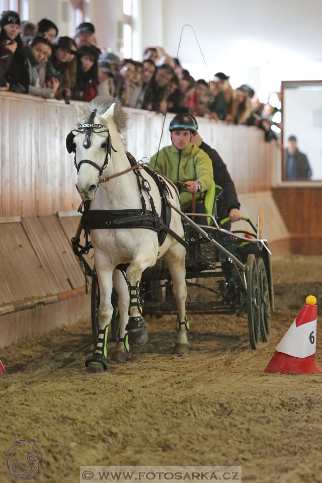 25.2.2017 - spřežení Brno