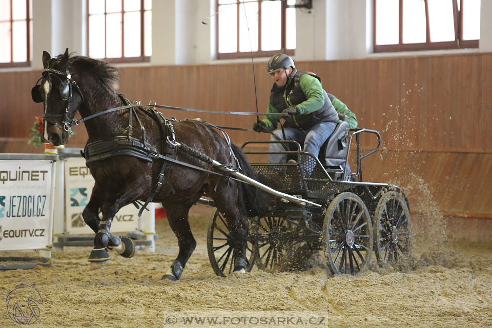 25.2.2017 - spřežení Brno