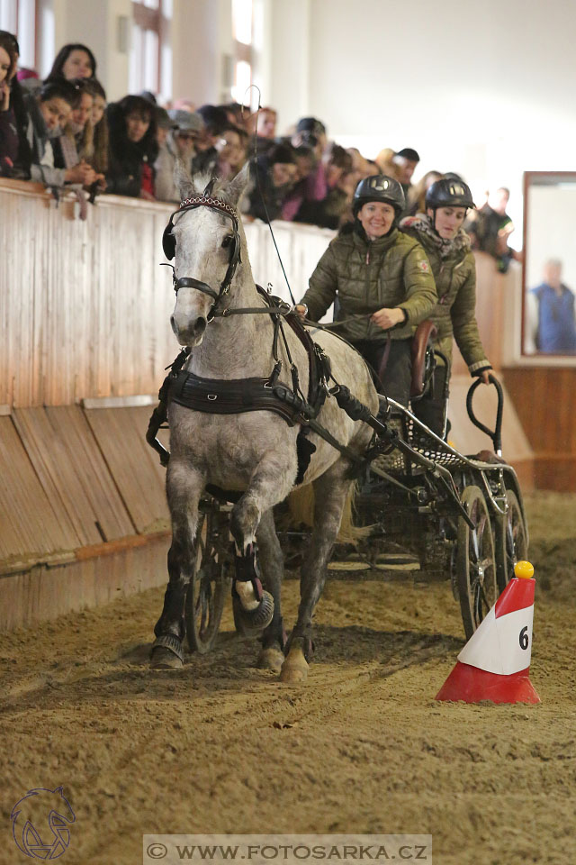 25.2.2017 - spřežení Brno