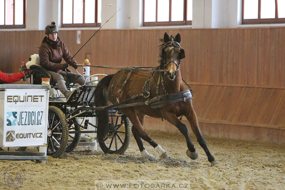 25.2.2017 - spřežení Brno