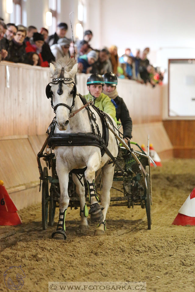 25.2.2017 - spřežení Brno