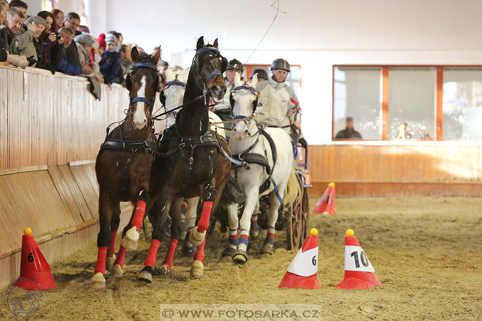 25.2.2017 - spřežení Brno