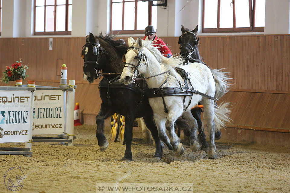 25.2.2017 - spřežení Brno