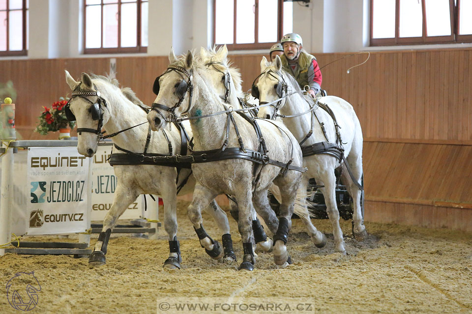 25.2.2017 - spřežení Brno