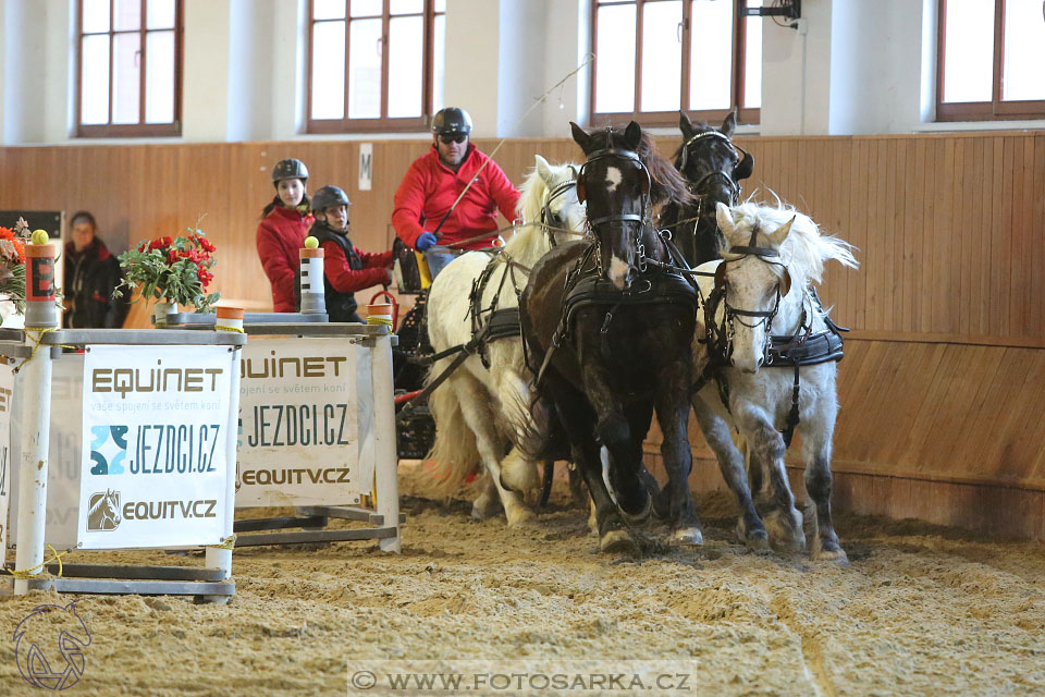 25.2.2017 - spřežení Brno