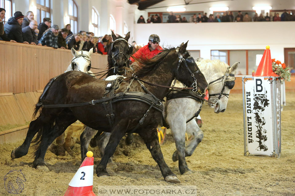 25.2.2017 - spřežení Brno