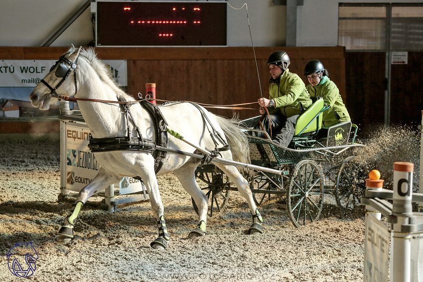 25.2.2018 - spřežení Královice