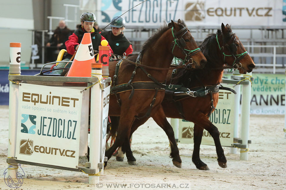 26.3.2017 - spřežení Lysá nad Labem