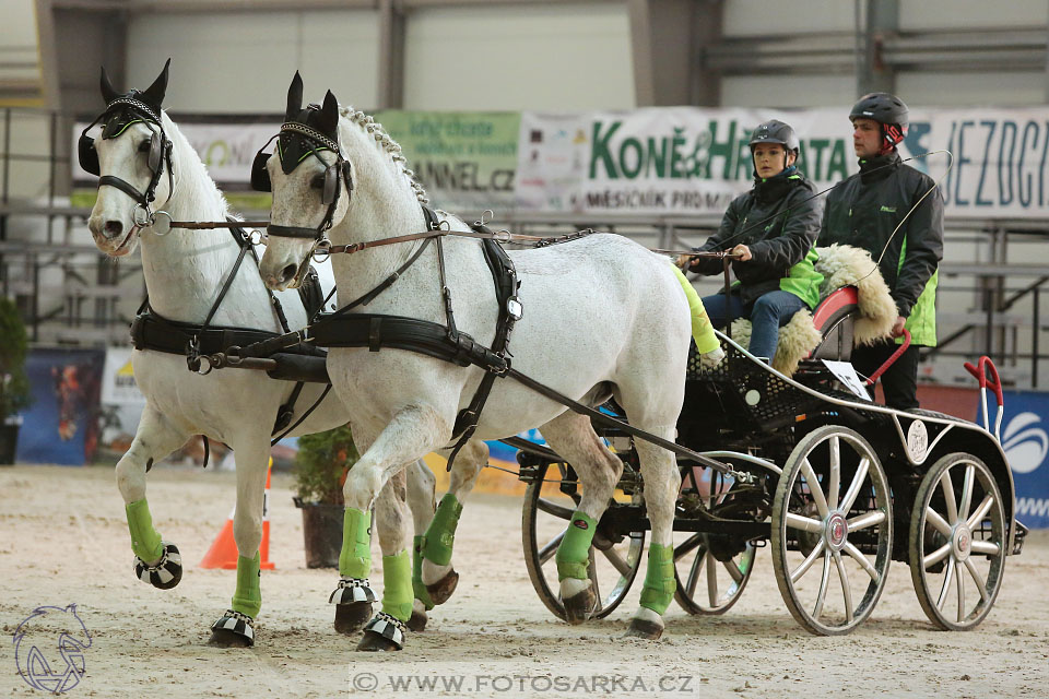 26.3.2017 - spřežení Lysá nad Labem