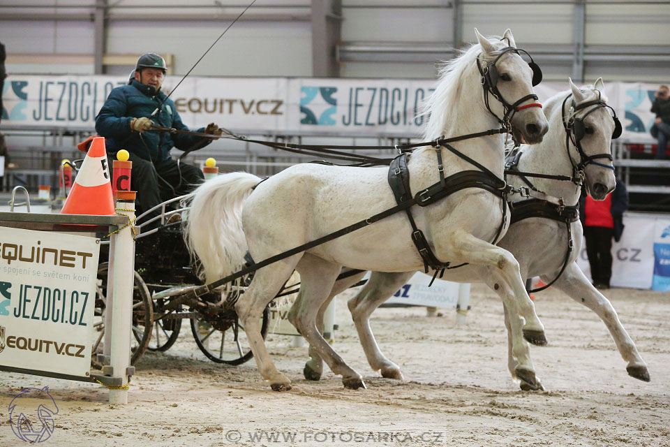 26.3.2017 - spřežení Lysá nad Labem