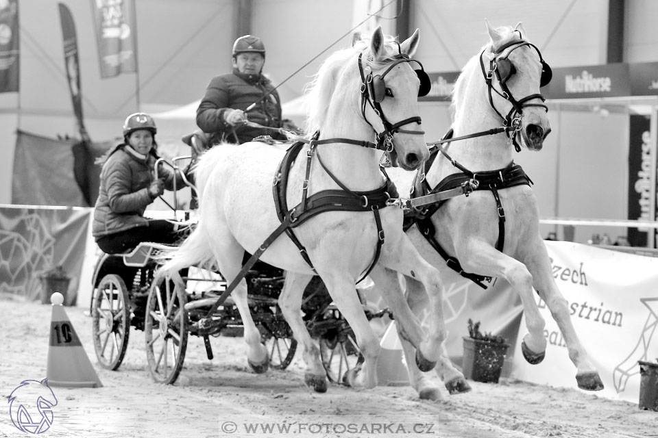 26.3.2017 - spřežení Lysá nad Labem