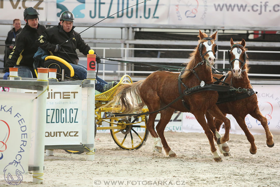 26.3.2017 - spřežení Lysá nad Labem