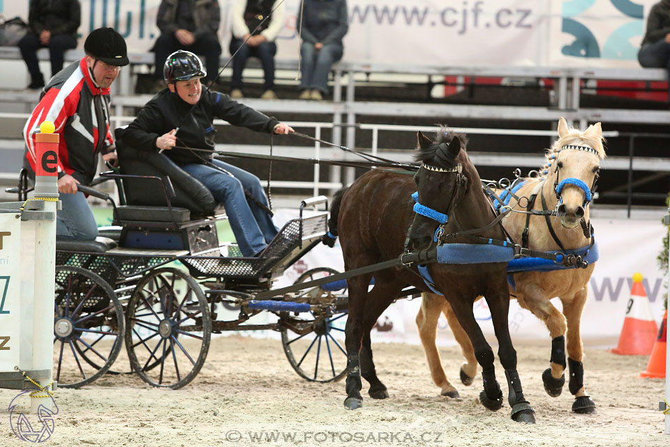 26.3.2017 - spřežení Lysá nad Labem