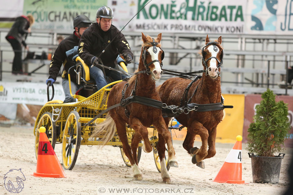 26.3.2017 - spřežení Lysá nad Labem