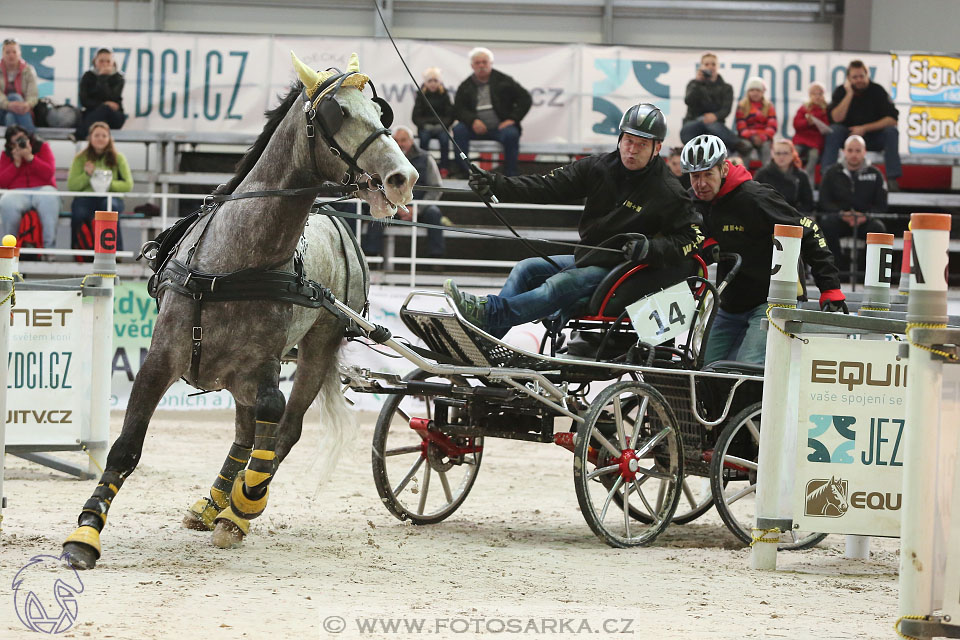 26.3.2017 - spřežení Lysá nad Labem