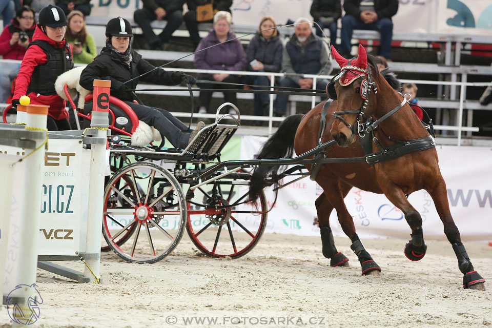 26.3.2017 - spřežení Lysá nad Labem