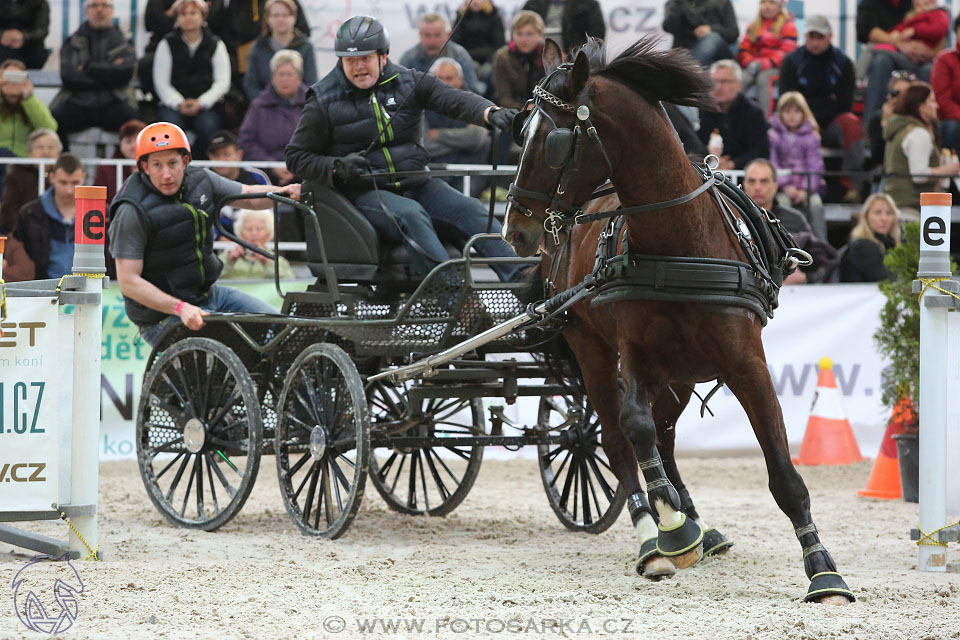 26.3.2017 - spřežení Lysá nad Labem