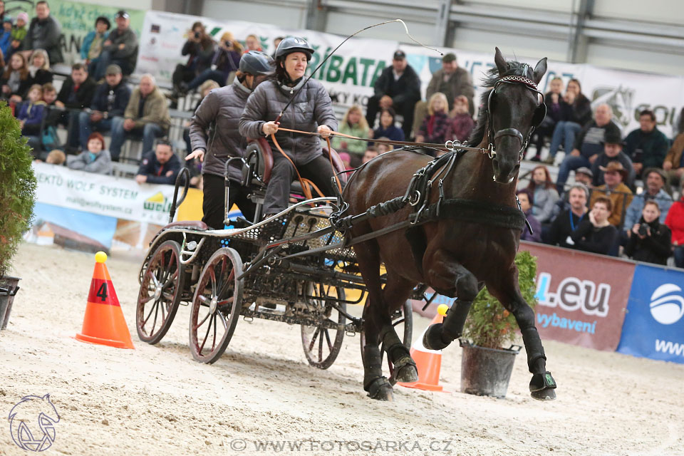 26.3.2017 - spřežení Lysá nad Labem