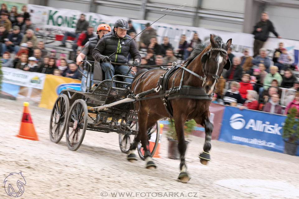 26.3.2017 - spřežení Lysá nad Labem