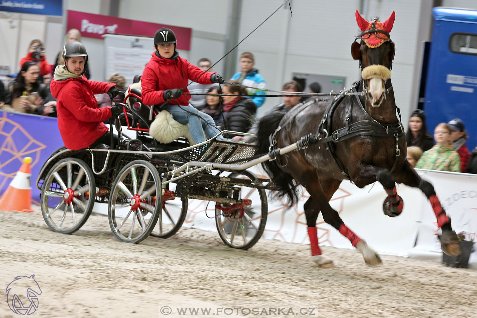 26.3.2017 - spřežení Lysá nad Labem