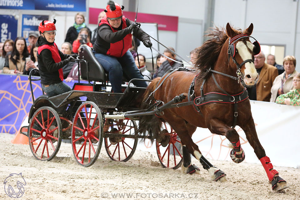 26.3.2017 - spřežení Lysá nad Labem