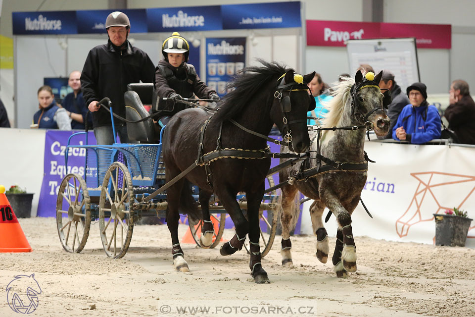 26.3.2017 - spřežení Lysá nad Labem