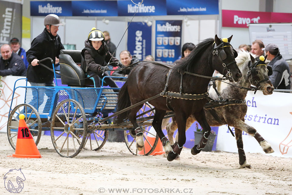 26.3.2017 - spřežení Lysá nad Labem