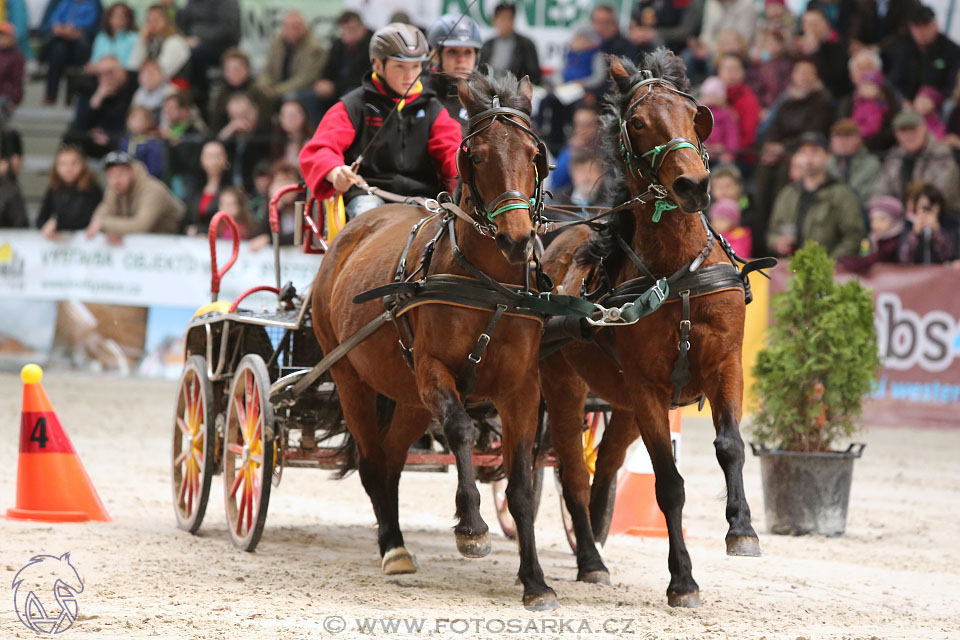 26.3.2017 - spřežení Lysá nad Labem