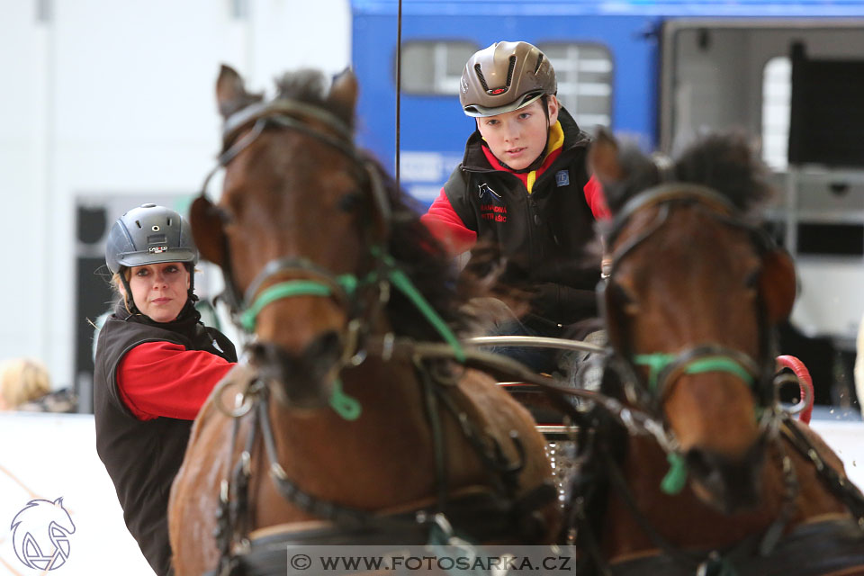 26.3.2017 - spřežení Lysá nad Labem