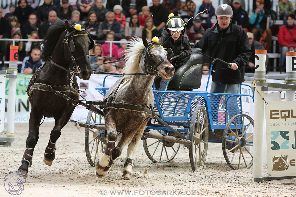 26.3.2017 - spřežení Lysá nad Labem