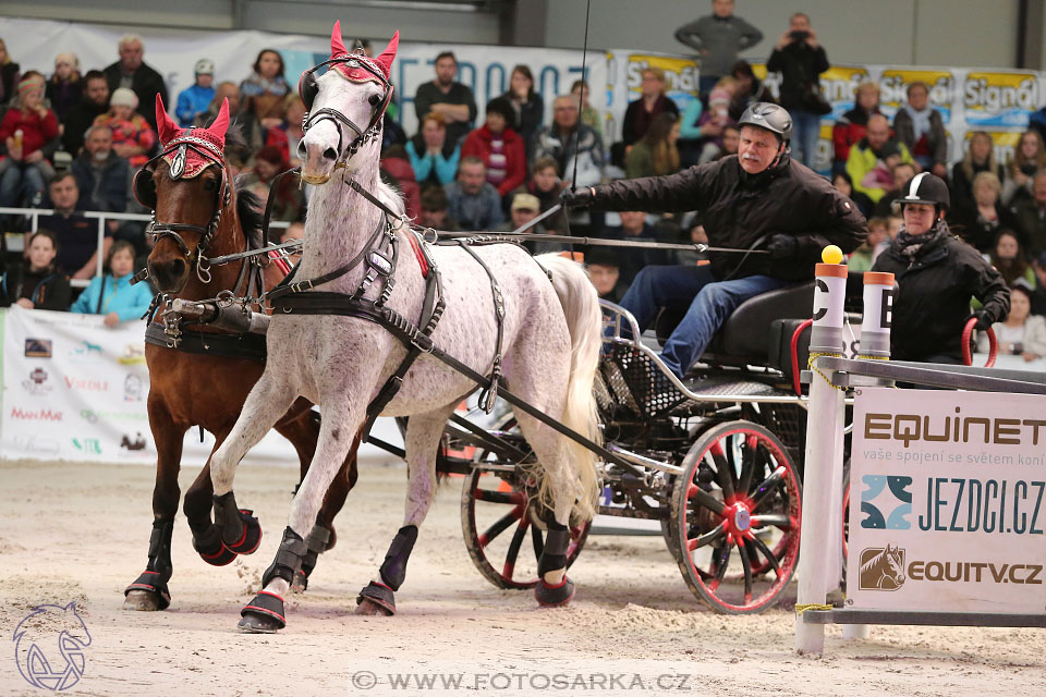 26.3.2017 - spřežení Lysá nad Labem