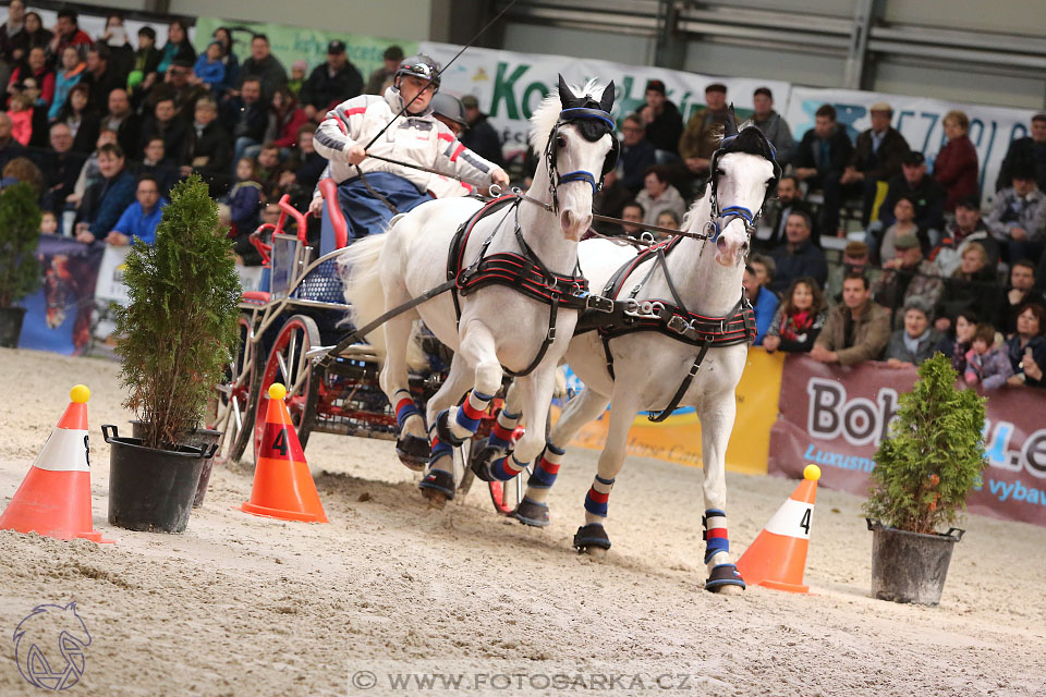 26.3.2017 - spřežení Lysá nad Labem