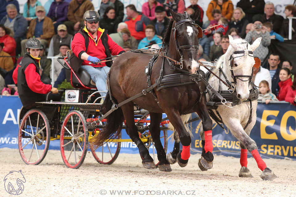 26.3.2017 - spřežení Lysá nad Labem